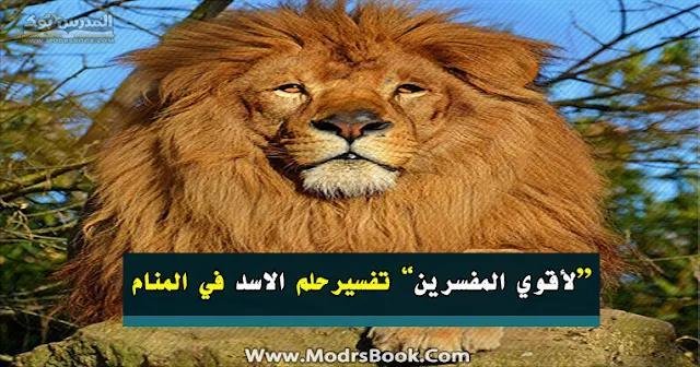 2525D8 2525A7 2525D9 252584 2525D8 2525A7 2525D8 2525B3 2525D8 2525AF.jpg66365cd07252c - تفسير حلم اسد كبير للعزباء
