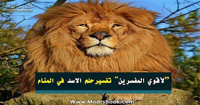 2525D8 2525A7 2525D9 252584 2525D8 2525A7 2525D8 2525B3 2525D8 2525AF.jpg6656538b4aadf - تفسير حلم اسد في البيت