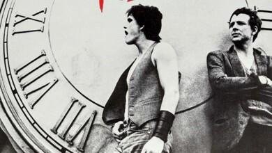 Rumble Fish 1983 2063 x 3000.jpg663c7845626a4 390x220 - تفسير حلم يطلع من شعري حشرات