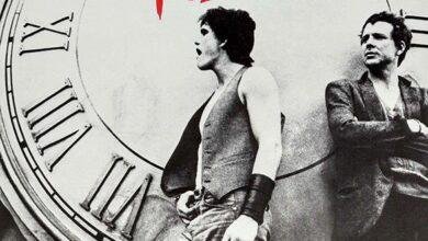 Rumble Fish 1983 2063 x 3000.jpg664ab2981f36a 390x220 - تفسير حلم أكل حشرات سوداء