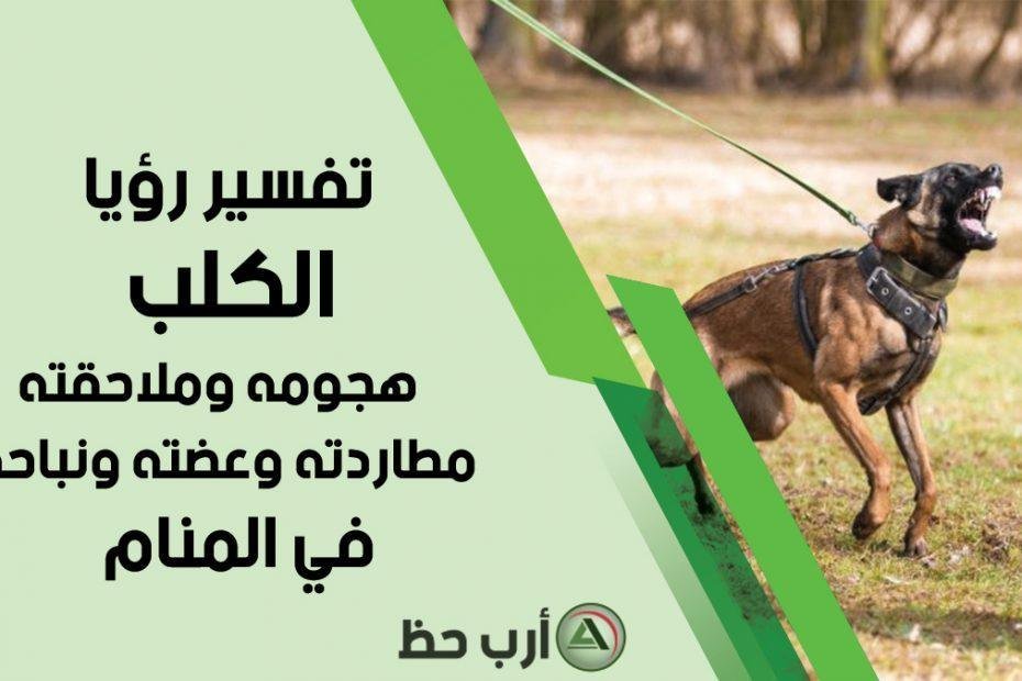 dog attack chase bite 930x620 - تفسير حلم كلب عض ابني