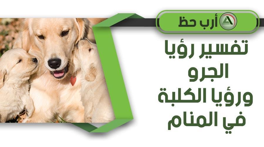 dog puppy - تفسير حلم كلب كانيش