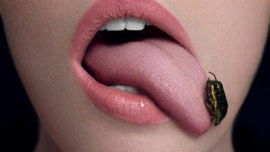 dream insects coming out of mouth interpretation.jpg665708a53a621 390x220 - تفسير حلم نزول حشرات من الفم