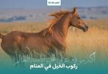 horse riding dream interpretation 220x150 - تفسير حلم تزاوج حصان