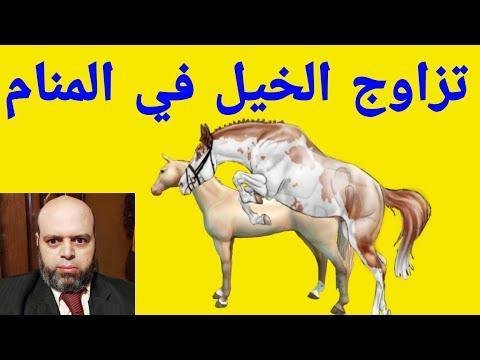 hqdefault.jpg6635ad576541c - تفسير حلم تزاوج حصان