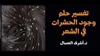 hqdefault.jpg6642cbbd86bf5 390x220 - تفسير حلم حشرات في الشعر للمتزوجه