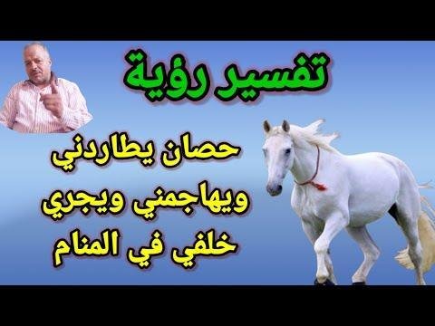 hqdefault.jpg6649977aa73fa - تفسير حلم حصان ينزف دم