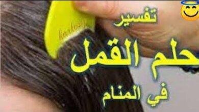 hqdefault.jpg664e9c8854405 390x220 - تفسير حلم تمشيط الشعر وسقوط حشرات للمتزوجة