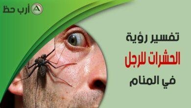 insects man.jpg664909b9c4545 390x220 - تفسير حلم وجود حشرات في الطعام للرجل