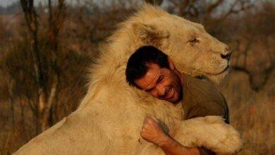 kevin richardson 015 640x360 390x220 - تفسير حلم اسد اليف في البيت