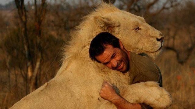 kevin richardson 015 640x360.jpg66527b66989ac - تفسير حلم تربية اسد اليف في البيت