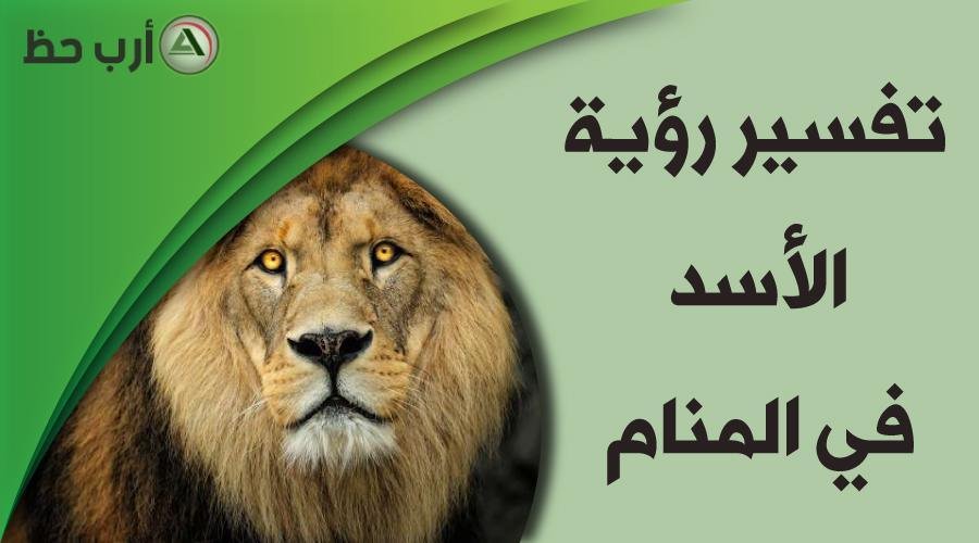 lion in dream.jpg66386c8aaee91 - تفسير حلم اسد غاضب