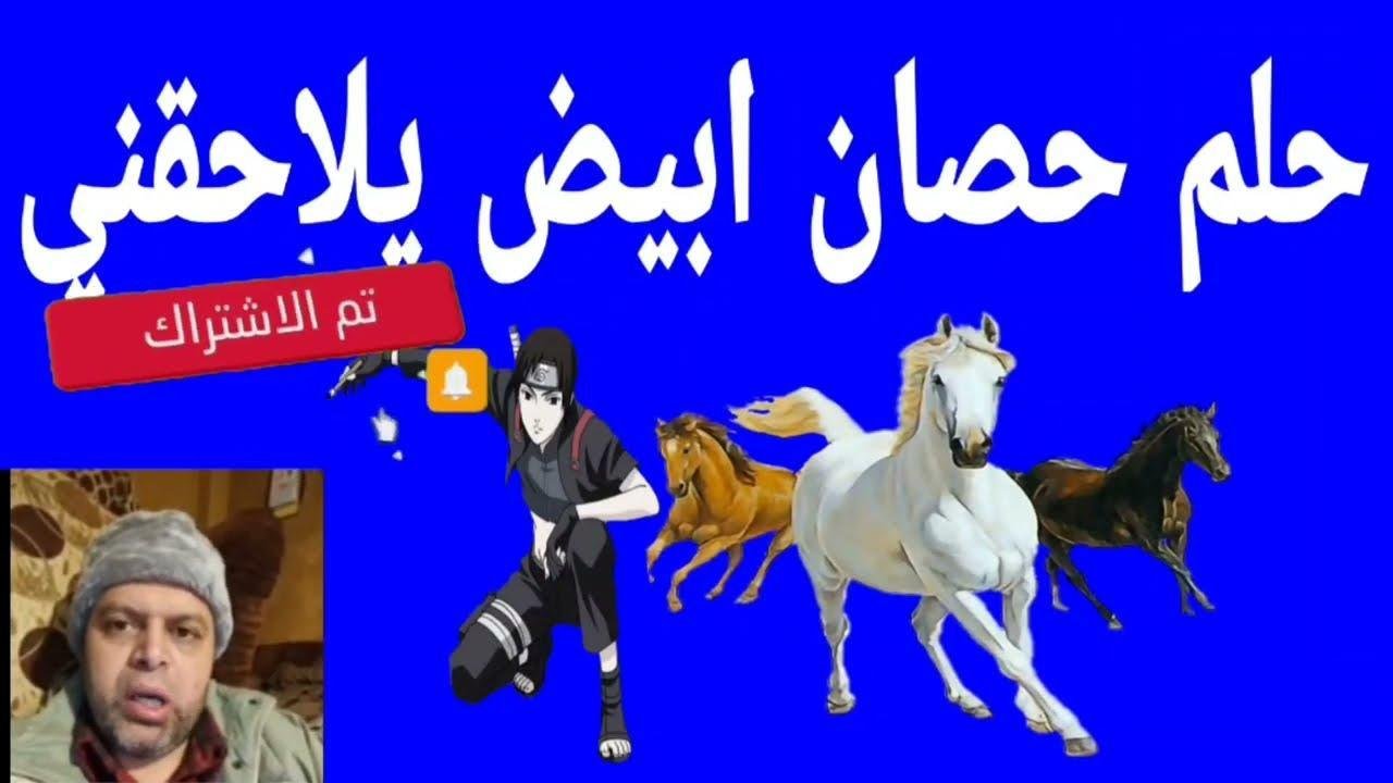 maxresdefault.jpg6634597c66b81 - تفسير حلم حصان أبيض يلاحقني