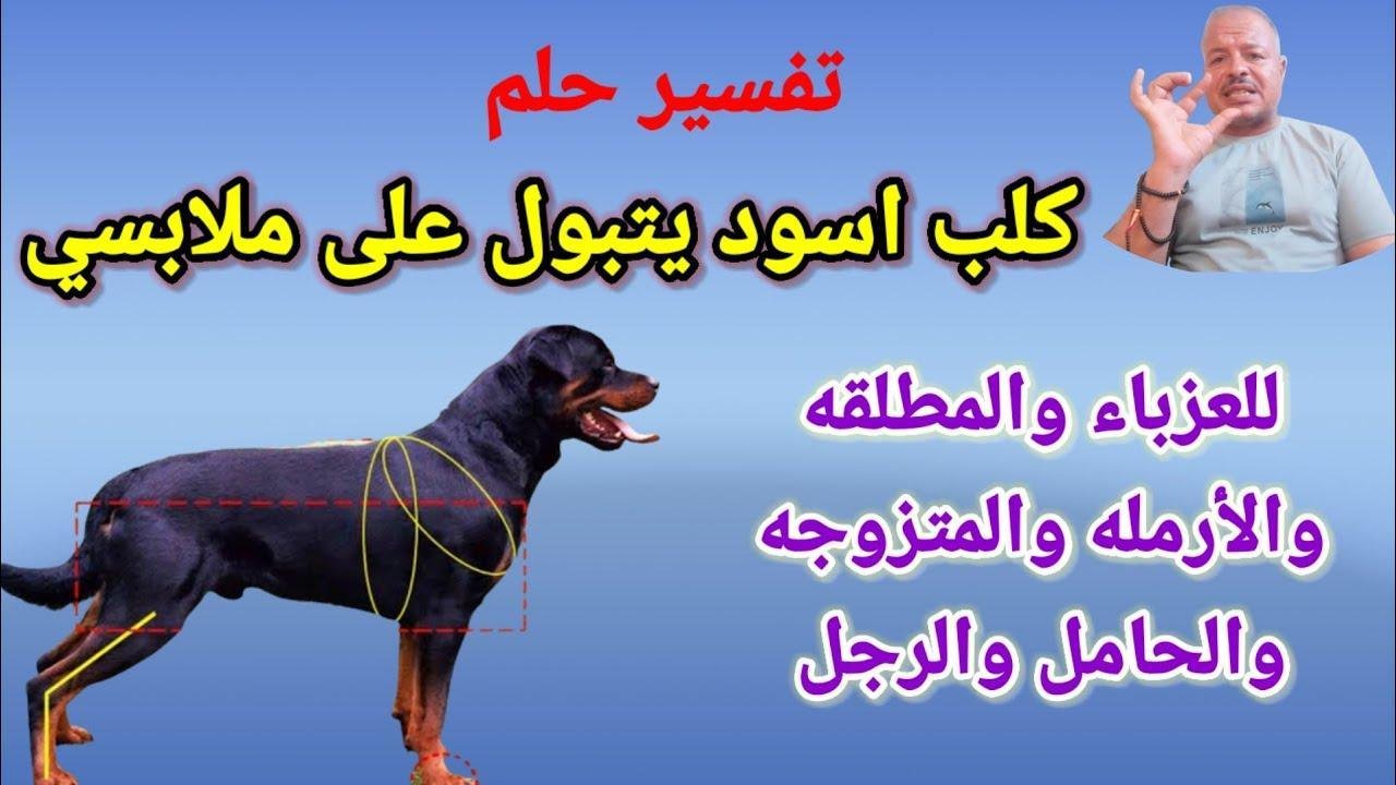 maxresdefault.jpg66363be5344c7 - تفسير حلم كلب تبول علي