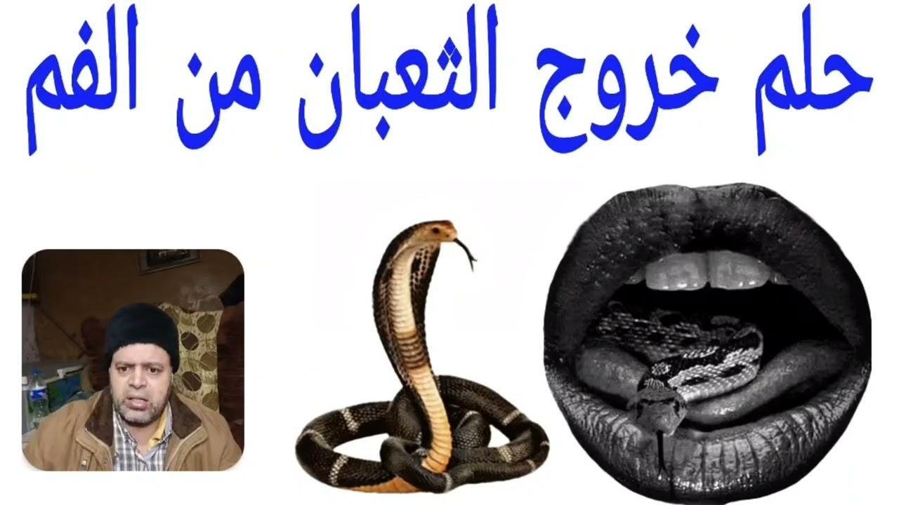 maxresdefault.jpg663921c00541a - تفسير حلم خروج افعى من الفم