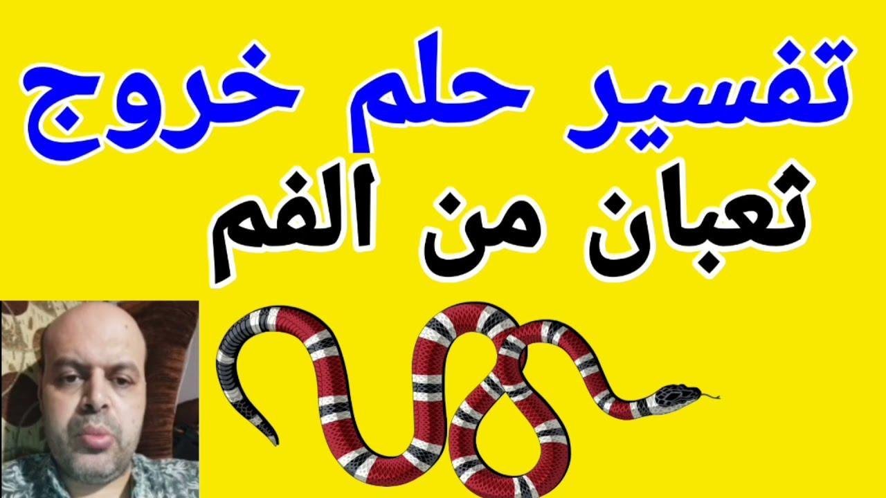 maxresdefault.jpg663921d02c42b - تفسير حلم خروج افعى من الفم