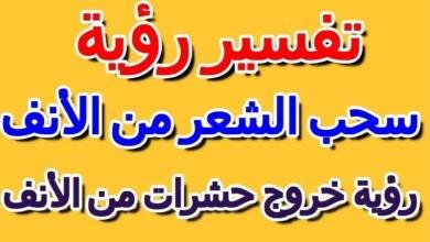 maxresdefault.jpg663d507b41d4a 390x220 - تفسير حلم خروج حشرات من الأنف للعزباء