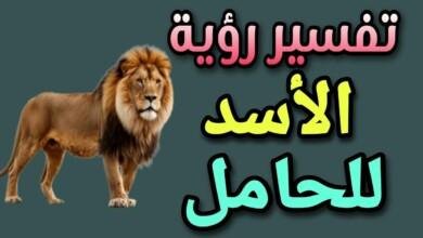 maxresdefault.jpg6642b90b901a0 390x220 - تفسير حلم اسد للحامل