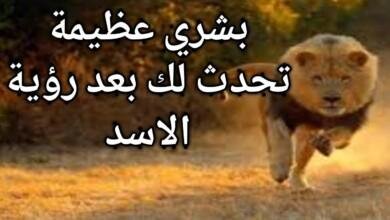 maxresdefault.jpg66440baee9460 390x220 - تفسير حلم خروج اسد من البيت