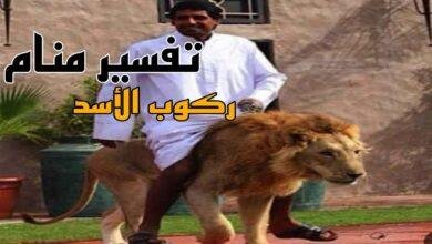 maxresdefault.jpg664827be6b214 390x220 - تفسير حلم الركوب على ظهر اسد