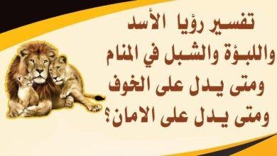 maxresdefault.jpg664862ad55ec8 390x220 - تفسير حلم أسد ولبؤة
