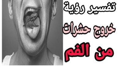 maxresdefault.jpg664a5178b63e9 390x220 - تفسير حلم استفراغ حشرات من الفم للعزباء