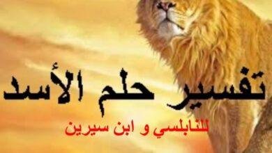 maxresdefault.jpg664ea7a2144a1 390x220 - تفسير حلم ترويض اسد