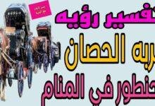 maxresdefault.jpg6652b74253558 220x150 - تفسير حلم حصان ذهبي للعزباء