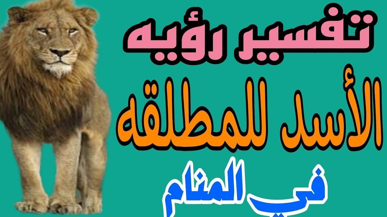 maxresdefault.jpg66537657ba15c - تفسير حلم الاسد للمطلقة