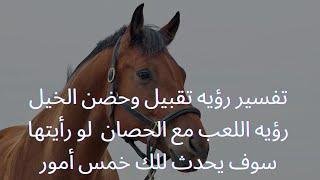 mqdefault - تفسير حلم تقبيل حصان