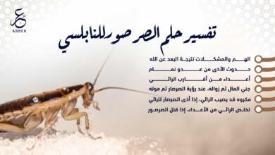 nywsua 390x220 - تفسير حلم حشرات وصراصير