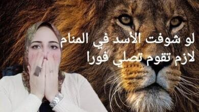 sddefault.jpg663c0cf474a55 390x220 - تفسير حلم تحول شخص الى اسد