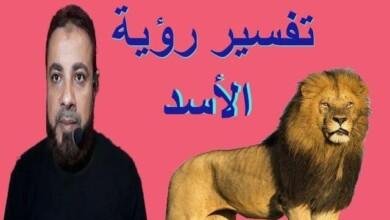 sddefault.jpg6640717b5a4b8 390x220 - تفسير حلم شخص اسد