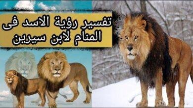sddefault.jpg66484676e5146 390x220 - تفسير حلم اسد مقيد