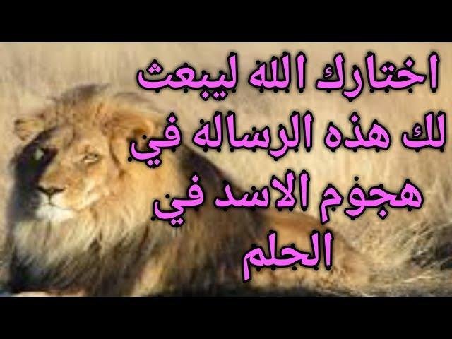 sddefault.jpg664ad7e5e27e4 - تفسير حلم اسد يلاحقني للمتزوجه