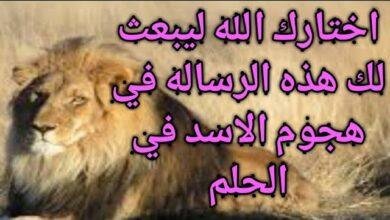 sddefault.jpg664ee8e43f647 390x220 - تفسير حلم اسد يعضني