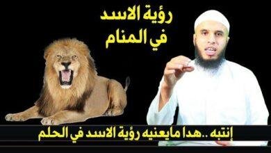 sddefault.jpg66504fec51bff 390x220 - تفسير حلم رؤيه اسد في الحلم