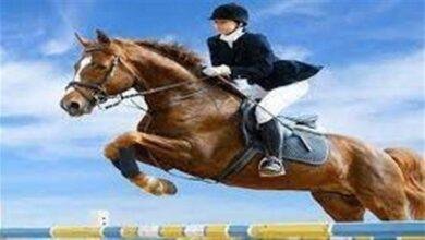 تفسير حلم ركوب حصان سريع 235.jpg666343c20de62 390x220 - تفسير حلم ركوب حصان سريع