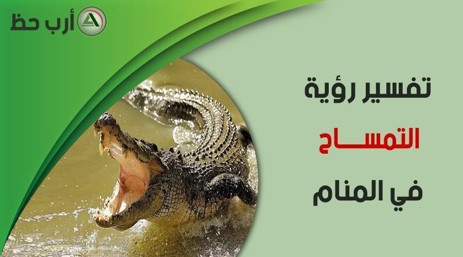 crocodile in dream - تفسير حلم افعى وتمساح