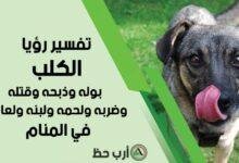 dog urine killing 930x620 220x150 - تفسير حلم نباح كلب ابيض للعزباء