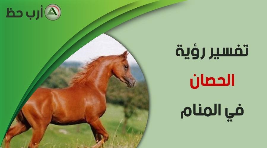 horse in dream.jpg6669b2cd1c09d - تفسير حلم تبول حصان على شخص
