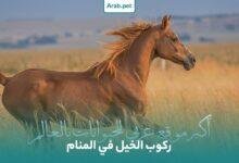 horse riding dream interpretation.jpg6660dfc5b9282 220x150 - تفسير حلم حصان لونه بني