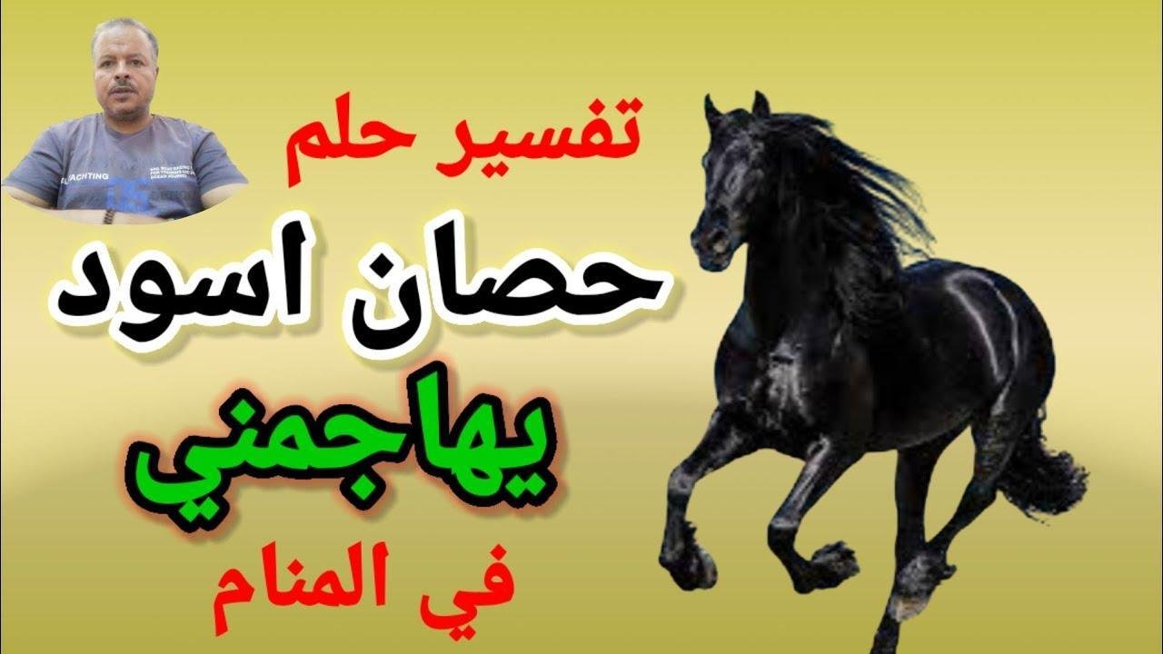 maxresdefault.jpg665ac454f08f8 - تفسير حلم حصان يهاجمني للعزباء