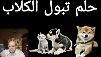 maxresdefault.jpg66758ce70caca 390x220 - تفسير حلم تبول كلب علي