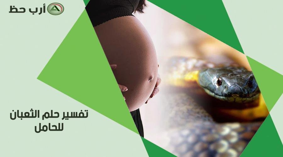 serpent for pregnant - تفسير حلم افعى للحامل