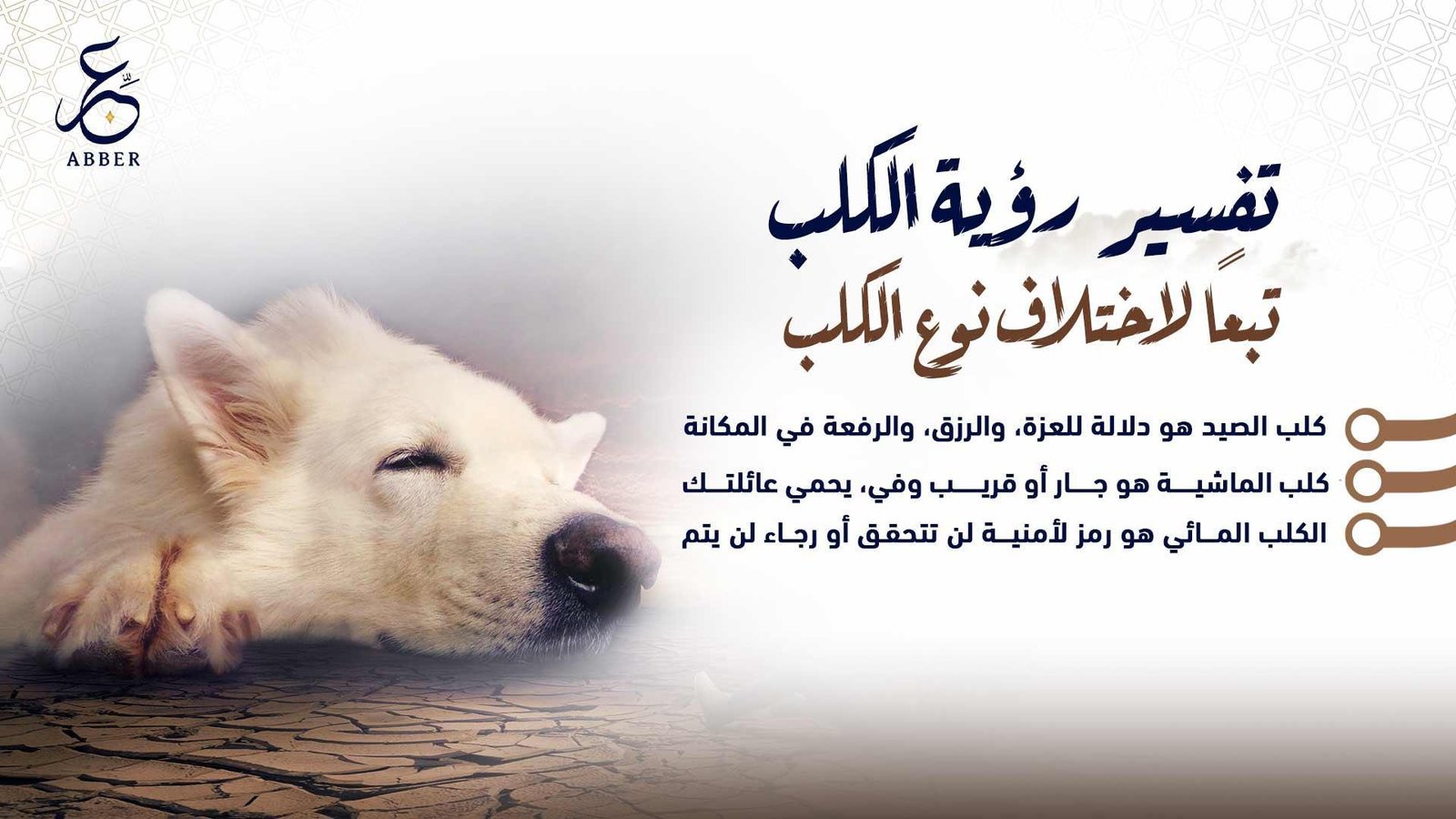 حلم الكلب يعضني