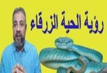 mqdefault 220x150 - تفسير حلم هجوم افعى خضراء