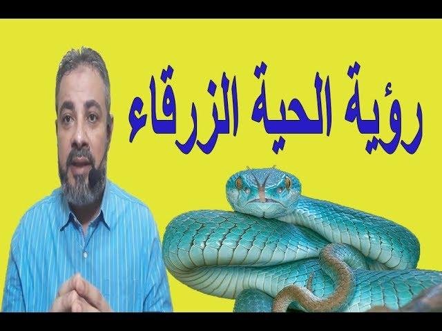 sddefault.jpg6684566a42374 - تفسير حلم افعى زرقاء