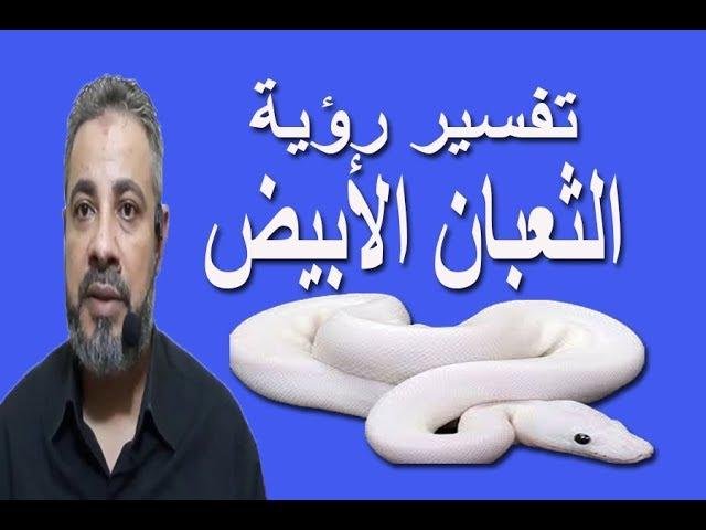 sddefault.jpg66d26ce7f1f44 - تفسير حلم ثعابين بيضاء صغيرة