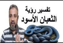sddefault.jpg66d319043536b 220x150 - تفسير حلم افعى قرصتني